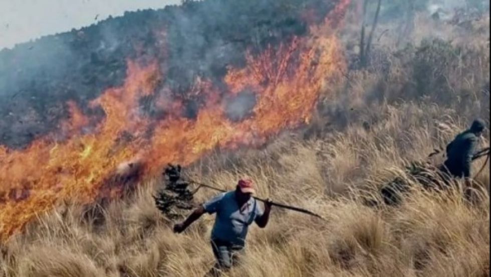 Gobierno prepara proyecto de ley para prohibir chaqueos y ofrecer alternativas a productores