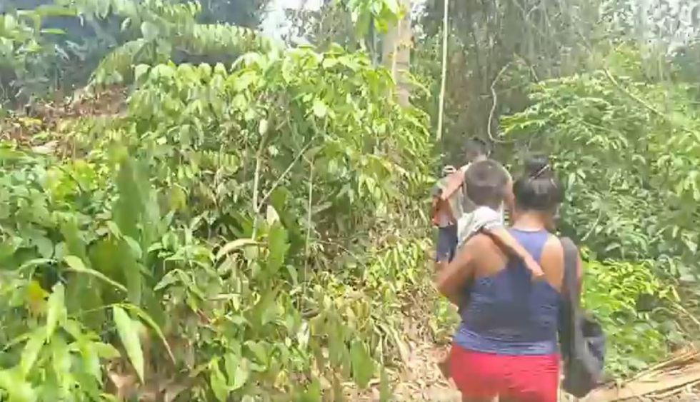 Abandonan a un niño envuelto en una bolsa en medio del monte en Riberalta (Video)