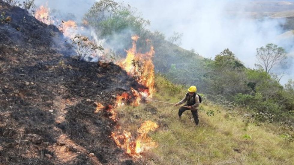 Reportan más de 3,5 millones de hectáreas quemadas