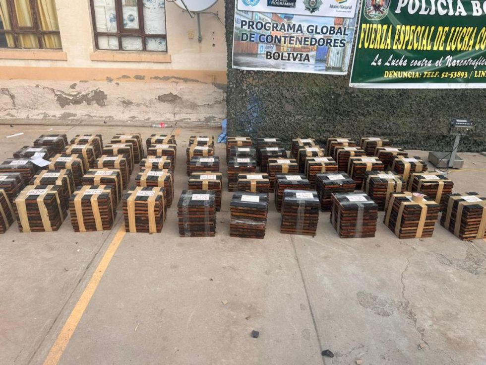 Hallan más de 8 toneladas de cocaína en tablones de madera, su destino era Bélgica 