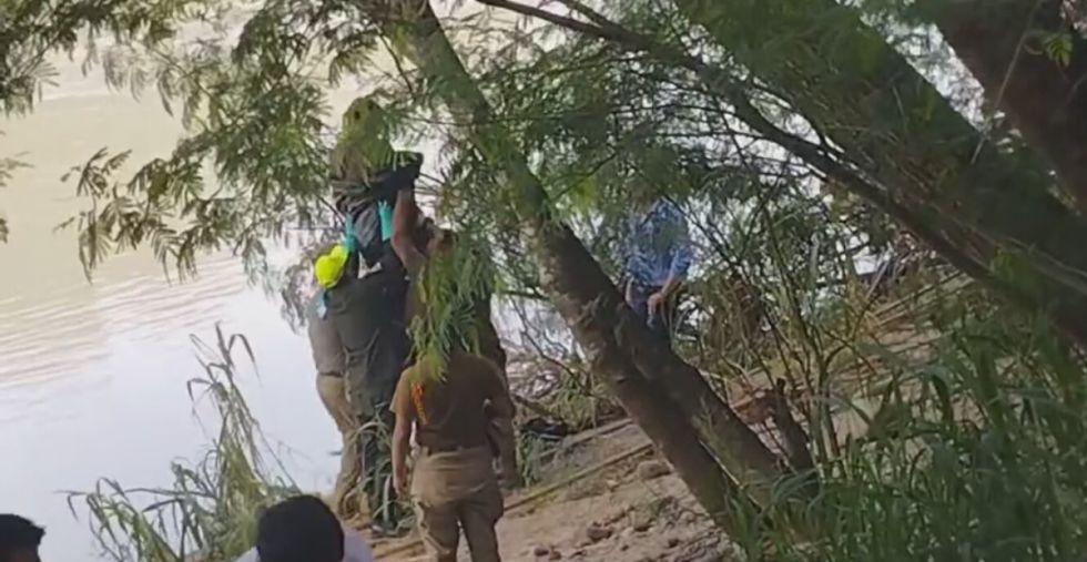 Tarija: Hallan a un hombre sin vida colgado de un árbol a orillas del río Bermejo