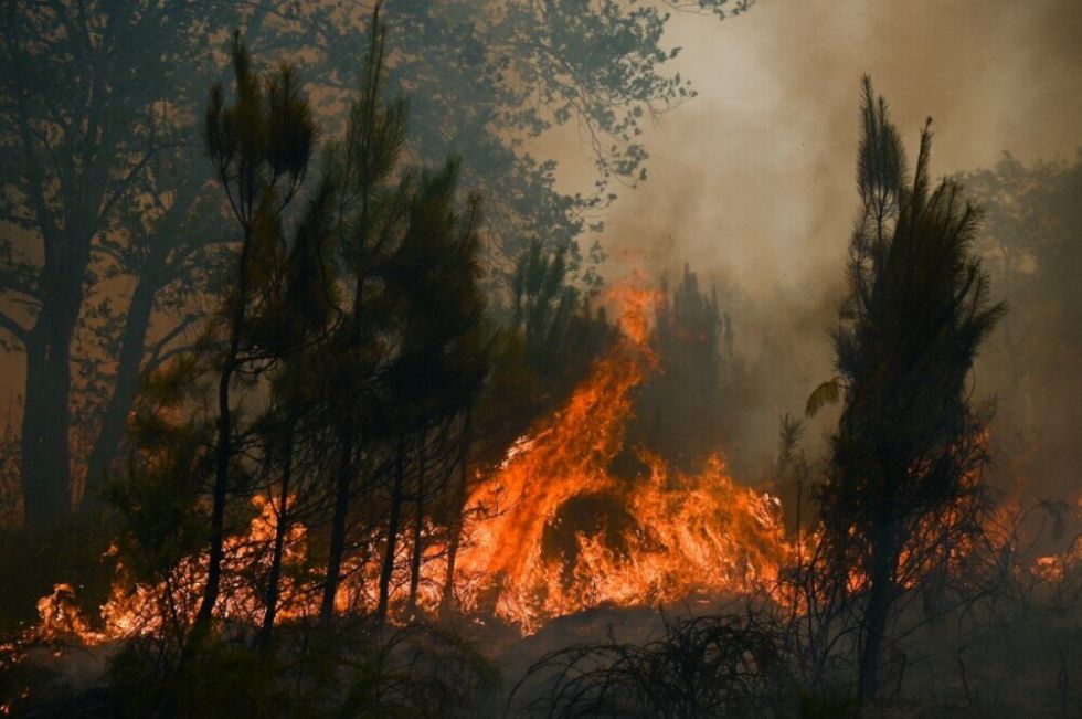 Colombia bajo alerta de incendios forestales