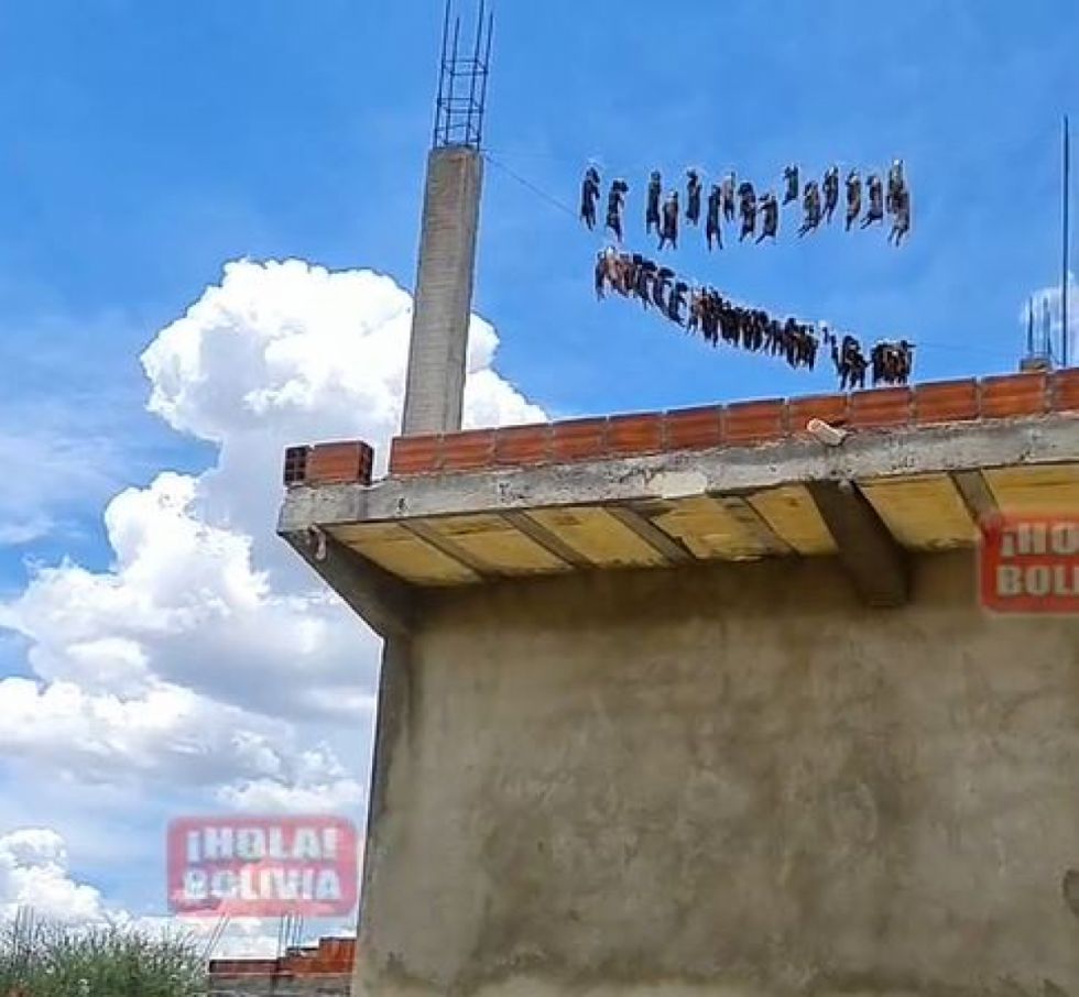 Hallan fetos de animales colgados en el barrio Artesanal de Tarija