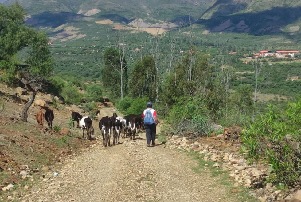 Rosillas: Denuncian a 2 maestros  por apropiarse de terrenos