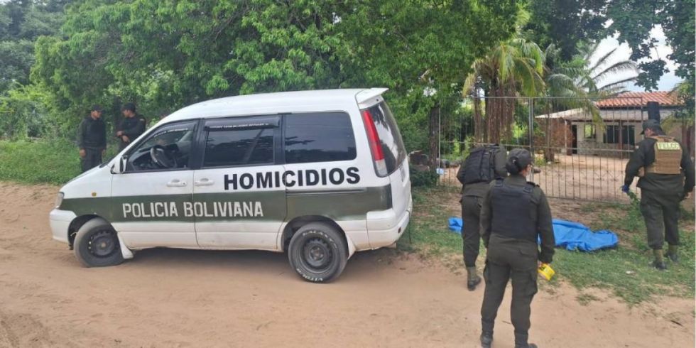 Dos pitbull atacan y matan a un hombre de 70 años