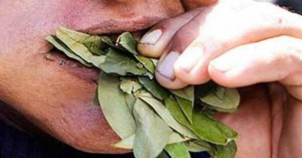 En Bulo Bulo un bloqueador murió atragantado con su “acullicu”  