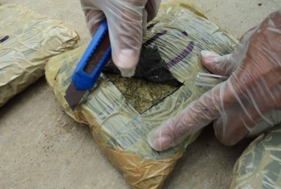 Sentencian a tres hombres por llevar 47 kg de marihuana 
