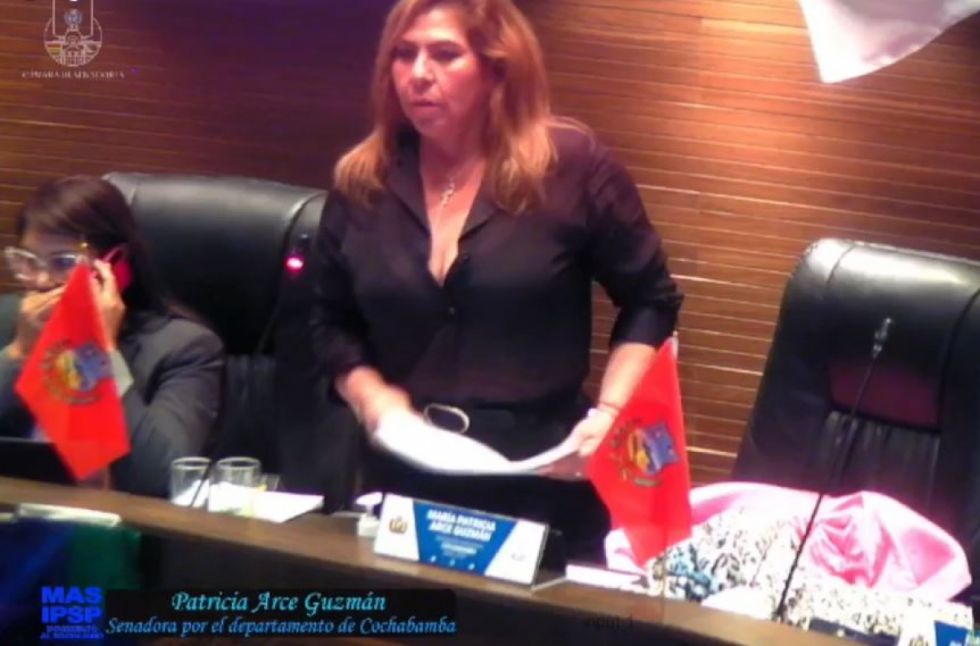 Senado debate la ley de elecciones judiciales (En vivo)