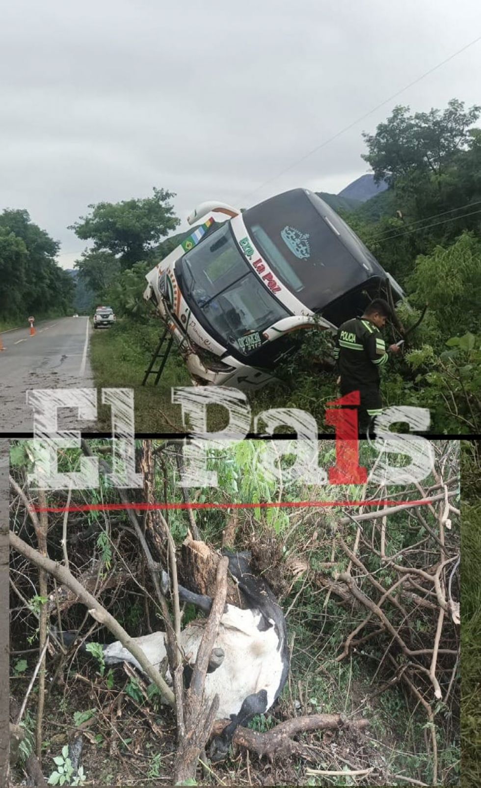 Vuelca un bus en la carretera Tarija - Bermejo por semovientes en la carretera 