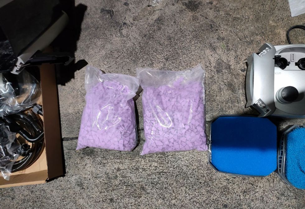 Descubren 4.000 pastillas de metanfetamina ocultas en el filtro de un acuario en el aeropuerto de Viru Viru