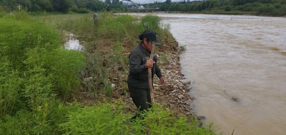 Convocan a una jornada de búsqueda de Singry