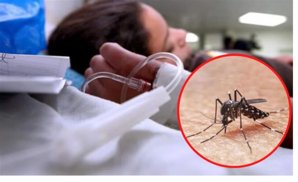 Brasil supera el millón de casos de dengue