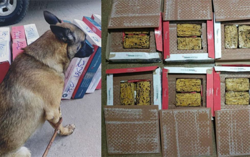 Él es “Boykan”, el can antidrogas que detectó cocaína dentro de unas cajas de cerámica