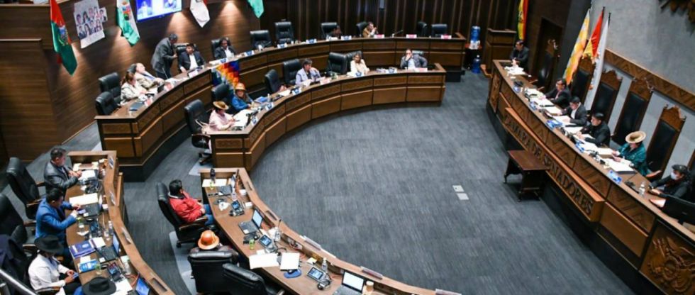 Senado pide sesión de la ALP para debatir leyes 073 y 075