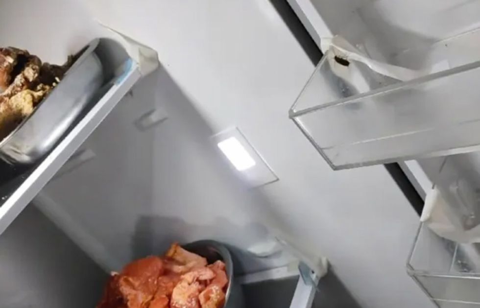 Operativo halla cucarachas vivas y muertas en un restaurante 