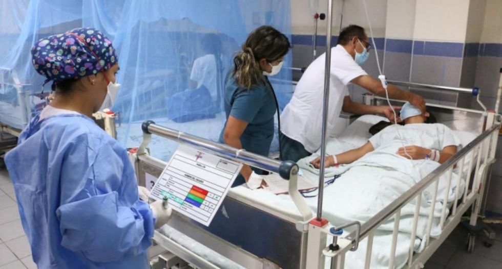 Reportan 11.492 casos y 15 fallecidos por dengue en Ecuador