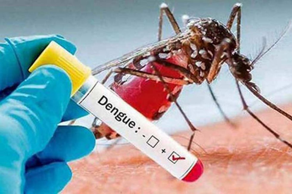 OPS alerta sobre aumento de dengue en las Américas