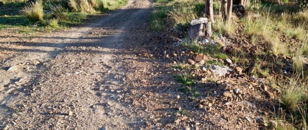 Hallan sin vida y con signos de violencia a una mujer de la tercera edad