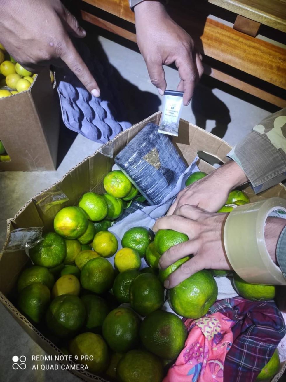 La Paz: Hallan droga camuflada en cajas de frutas