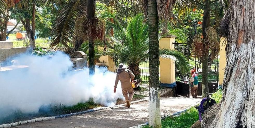 La Paz: detectan 22 casos de oropuche