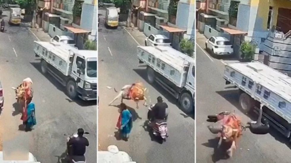 VIDEO: Un toro lanza a un hombre en ciclomotor bajo un camión