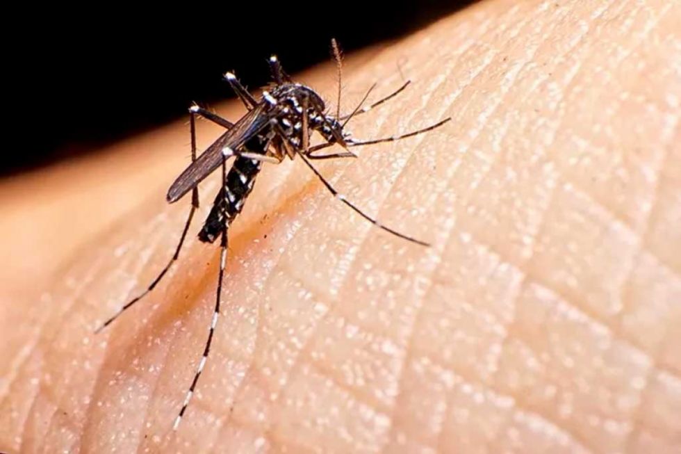 Brasil impone marca de muertes por dengue en 2024