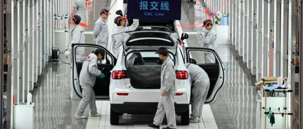 Recelo por la sobreproducción china de productos verdes