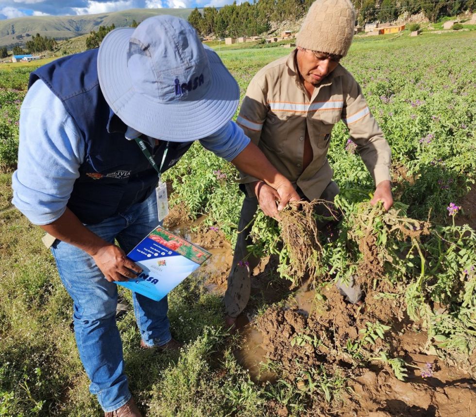 Sequía, granizadas, inundaciones e incendios afectaron a 202.243 hectáreas de cultivos en Bolivia