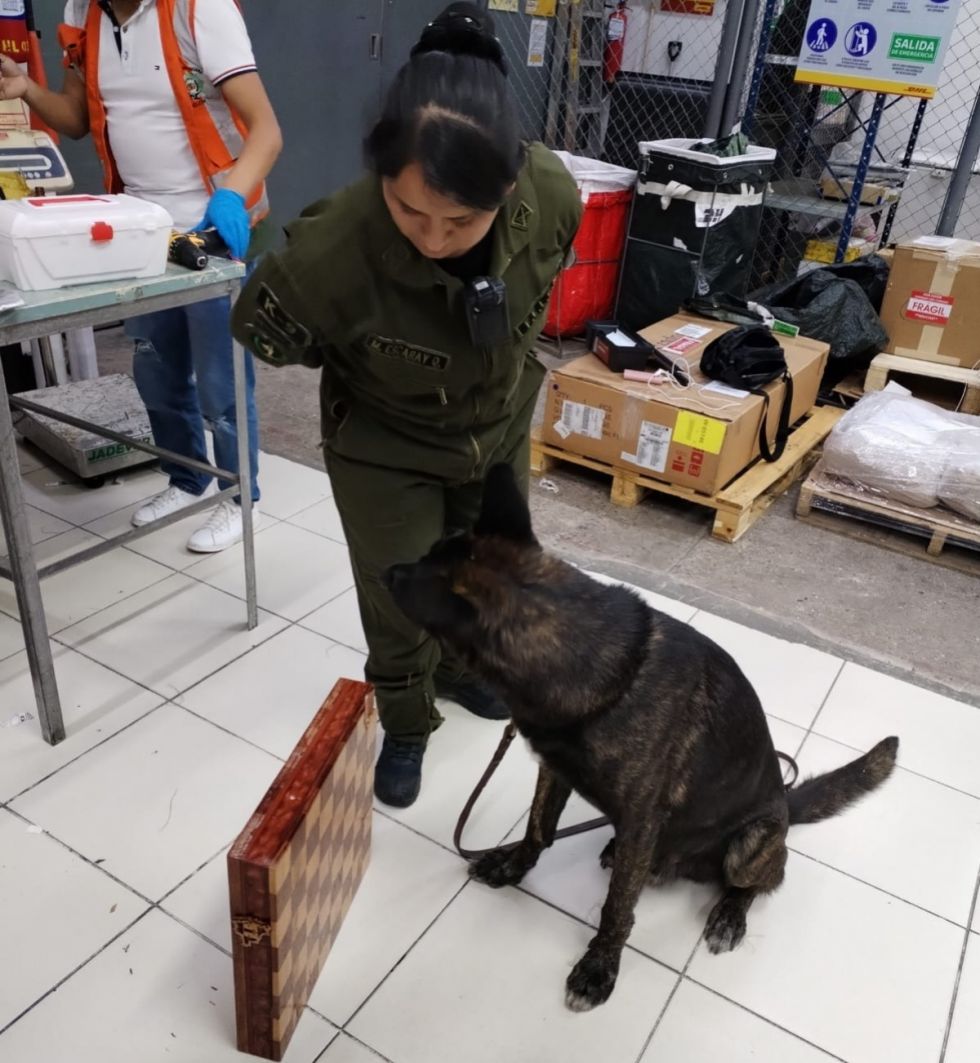 Can detectó cocaína en encomienda a España