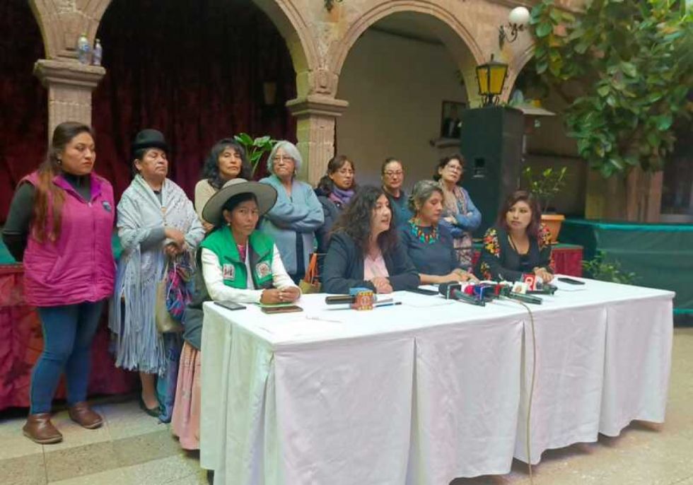 Organizaciones rechazan modificaciones a la Ley 348