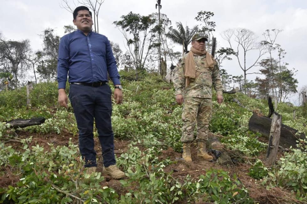 Erradican 33.780 ha de coca excedentaria