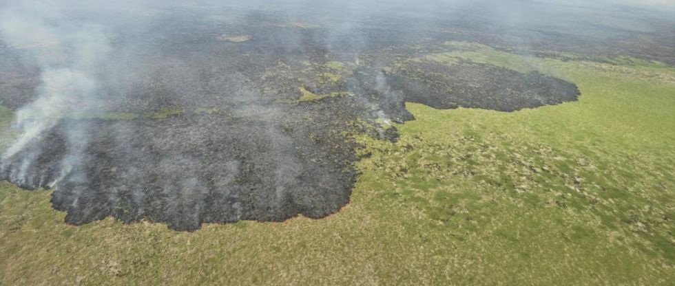 Defensa Civil reporta 2.882 focos de calor en todo el país y ve riesgo de incendios forestales “incontrolables”