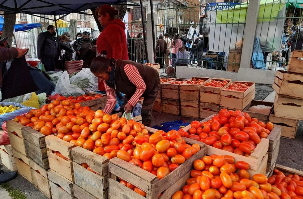 Según el Gobierno, hay una tendencia de rebaja en los precios del tomate