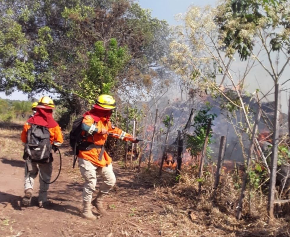 Gobierno registra 3.393 focos de calor