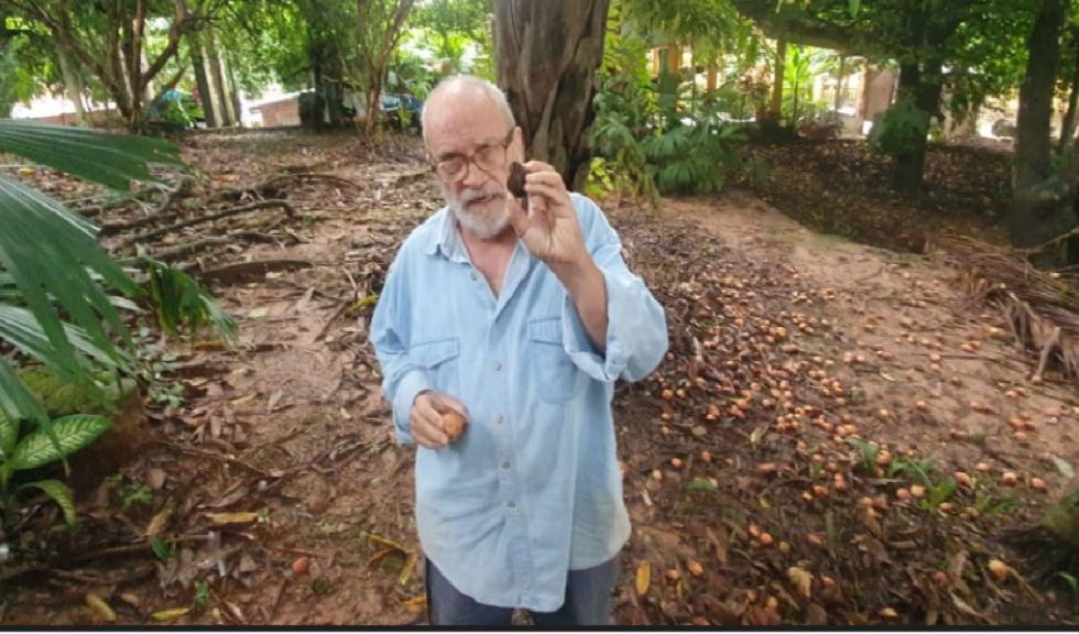 Daniel Robison: ‘No necesitamos tumbar el bosque por la palma africana, Bolivia tiene millones de motacús en pie’