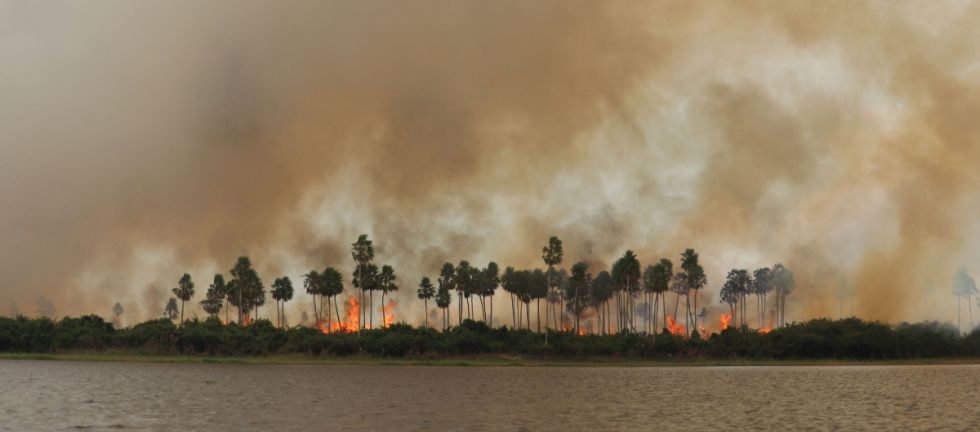 Emergencia por incendios en el Pantanal brasileño