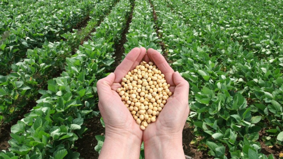 Productores cruceños destacan el “modelo paraguayo” 