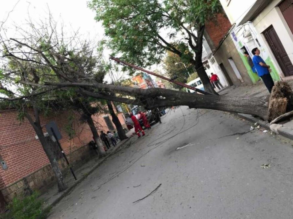 Emiten nueva alerta Naranja por vientos de 30 a 50 km/h en Tarija y otros 4 departamentos