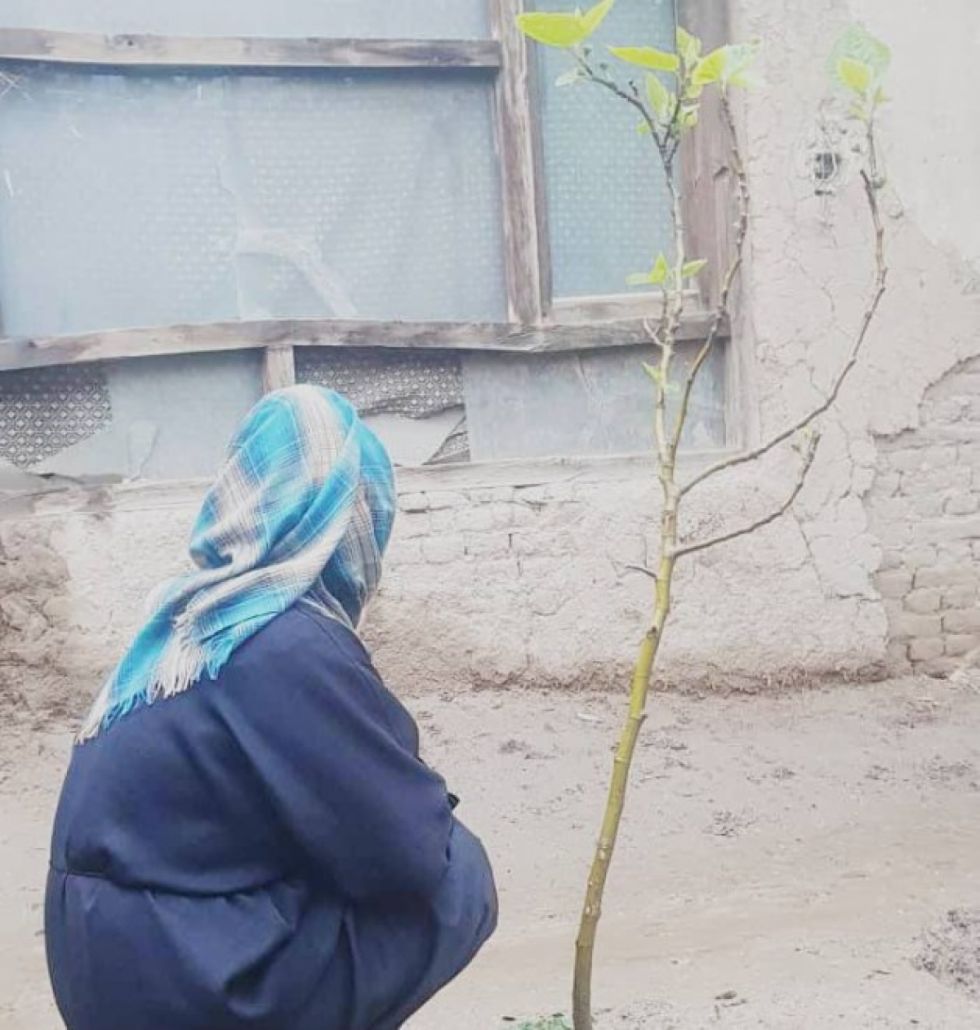 Las deportaciones forzosas dejan a las mujeres afganas en la miseria