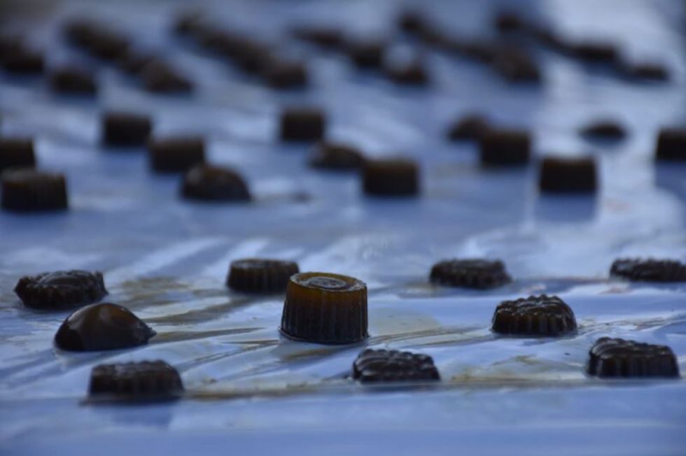 Descubren laboratorio que elaboraba “gomitas comestibles” de marihuana