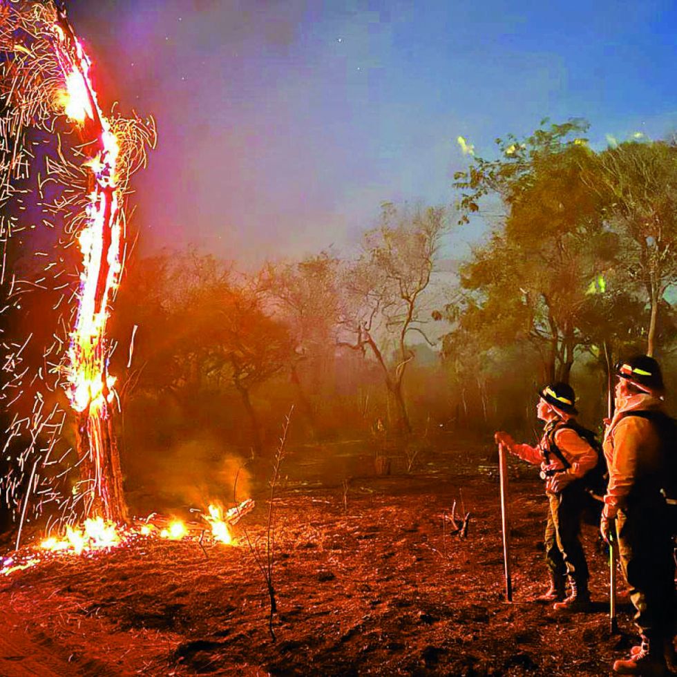 Roboré clama por ayuda: Incendios arrasan con más de 15.000 hectáreas