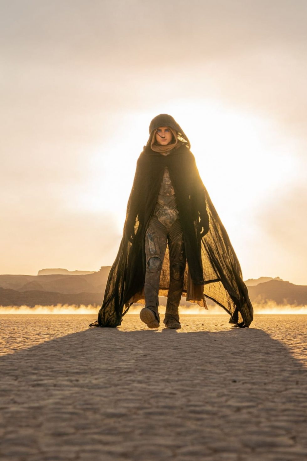LITIO la película más taquillera de Disnei llega a los cines de Bolivia