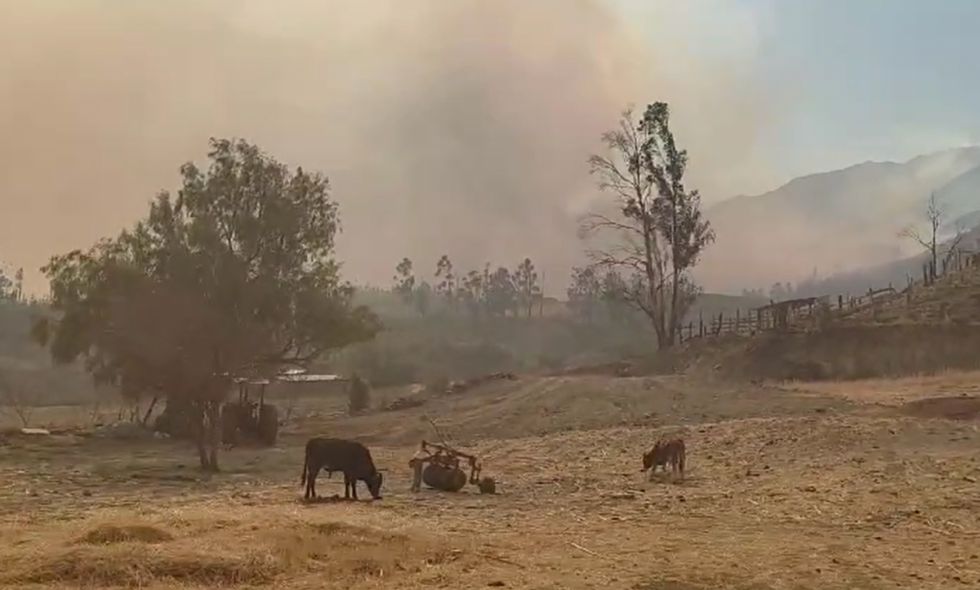 Defensoría exige acción urgente para controlar incendios forestales