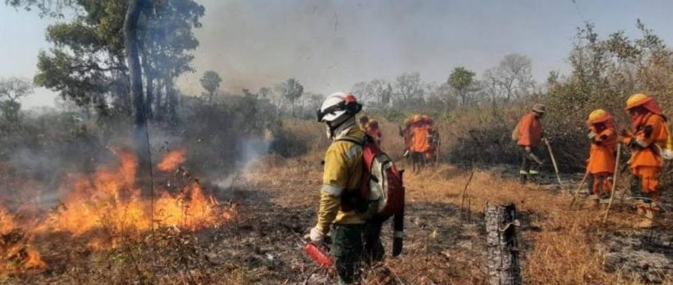 Bolivia reporta más de 10 mil focos de calor y Santa Cruz concentra cerca del 90%