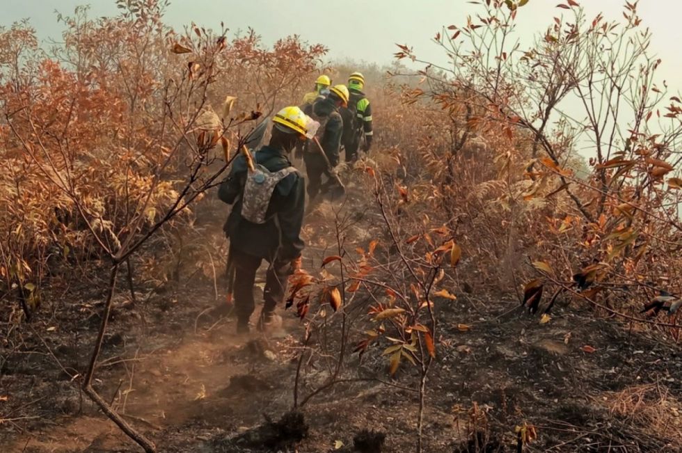 Incendios forestales: ABT inicia 17 procesos penales