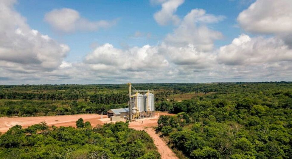 Ecologistas piden no aprobar semillas transgénicas