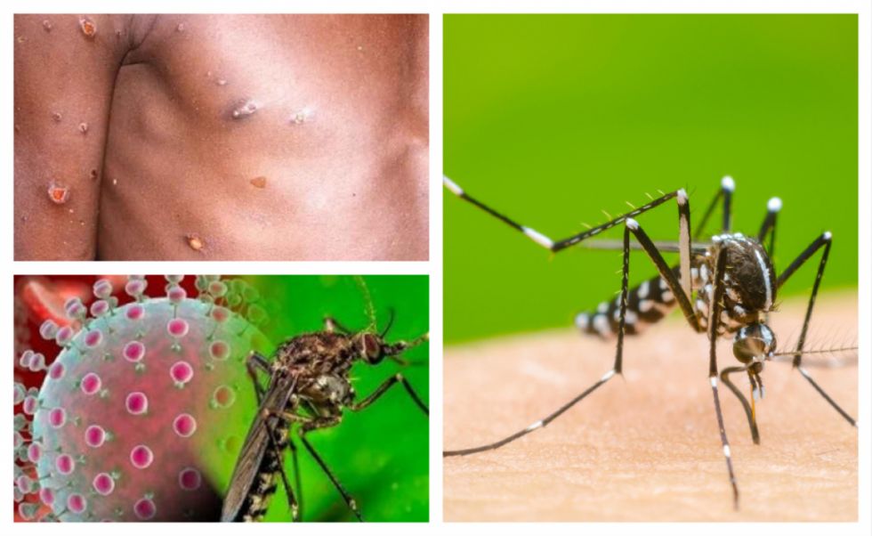 Mpox y dengue bajo vigilancia en las Américas