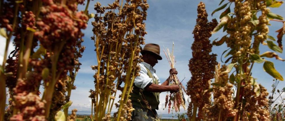 Bolivia será la tercera economía de Sudamérica que menos crecerá en 2024, según la Cepal