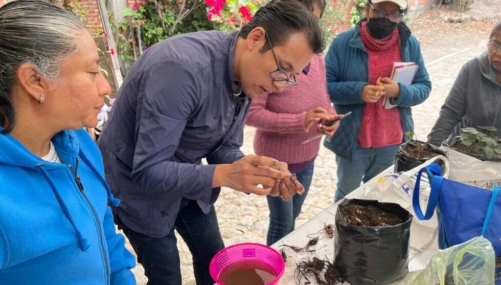 Biotecnología detona poder y libertad para agricultoras mexicanas