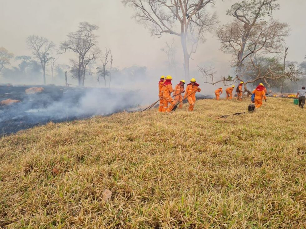 Activan 43 procesos penales por incendios forestales